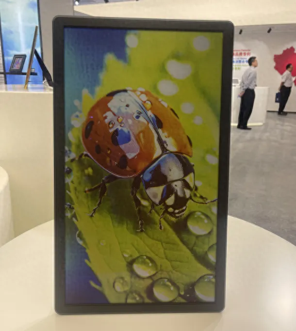 ChLCD Display Screen